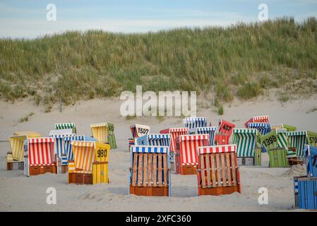 Reihe von bunten Liegestühlen im Sand vor grasbewachsenen Dünen unter blauem Himmel, langeoog, ostfriesland, deutschland Stockfoto