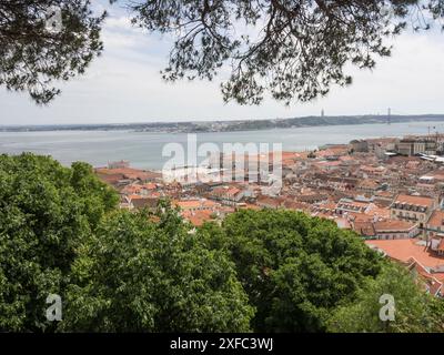 Weite Aussicht über die Stadt mit roten Dächern und Küste dahinter, von Bäumen eingerahmt, lissabon, portugal Stockfoto