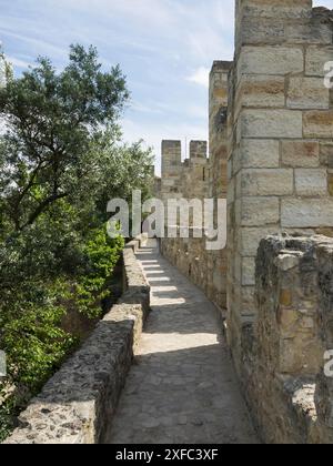 Ein schmaler Pfad führt entlang der alten Burgmauer, flankiert von Bäumen und sonnigem Wetter, und bietet einen Einblick in die historische Architektur von lissabon, portugal Stockfoto