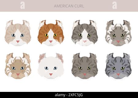 American Curl Cat Clipart. Alle Lackfarben festgelegt. Infografik zu den Merkmalen aller Katzenrassen. Vektorabbildung Stock Vektor