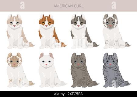 American Curl Cat Clipart. Alle Lackfarben festgelegt. Infografik zu den Merkmalen aller Katzenrassen. Vektorabbildung Stock Vektor