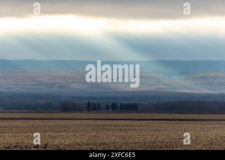 Die Sonnenstrahlen leuchten hell über den kanadischen Prärieländern von Manitoba während der Herbstsaison am späten Nachmittag. Stockfoto