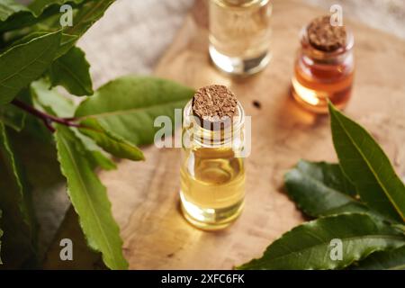 Flaschen ätherisches Aromatherapie-Öl mit frischen Lorbeerblättern auf einem Tisch Stockfoto