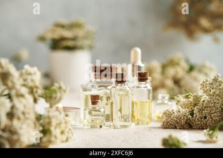 Mehrere Flaschen ätherisches Aromatherapie-Öl mit frischen Schafgarbenblüten auf weißem Hintergrund Stockfoto