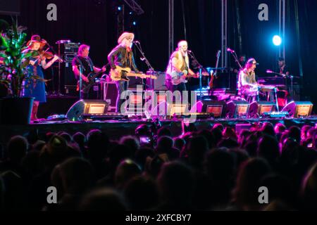 Beim Huercasa Country Festival 2018 in Riaza, Segovia, Spanien, erleben Sie Live-Auftritte von Steve Earle and the Dukes Stockfoto