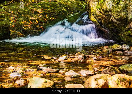 Der Rocky Fork Creek hat diesen kleinen Wasserfall im Rocky Fork State Park, Tennessee, hervorgebracht. Stockfoto