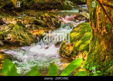 Der Tumbling Rocky Fork Creek hat diese wunderschönen Kaskaden im Rocky Fork State Park, Tennessee, hervorgebracht. Stockfoto