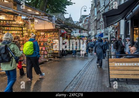 Amsterdamer Blumenmarkt, Singel, an einem nassen Tag im Oktober. Stockfoto