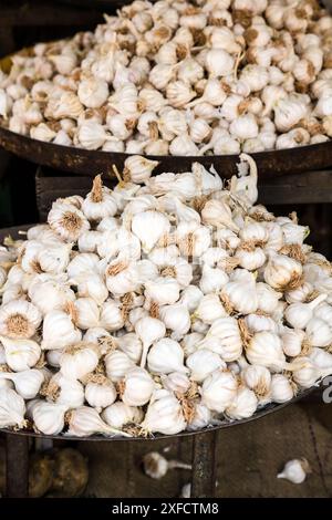 Viele Knoblauchzwiebeln auf einem Straßenmarkt in Jodhpur, Rajasthan, Indien Stockfoto