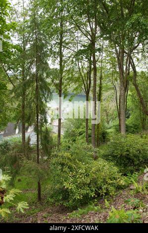 Blick hinunter auf den Fluss FAL von Trelissick Gardens, Cornwall, Großbritannien Stockfoto