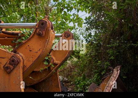 Schwere Baumaschinen im Wald, mit Pflanzen bewachsen Stockfoto