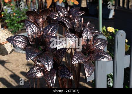 East Molesey, Surrey, Großbritannien. Juli 2024. Aussteller stehen auf dem RHS Hampton Court Palace Garden Festival in East Molesey, Surrey. Kredit: Maureen McLean/Alamy Stockfoto