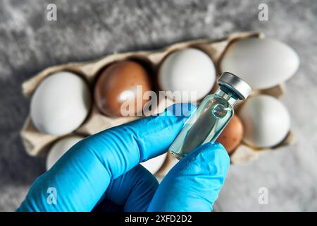 Deutschland - 02. Juli 2024: Eier von einem Vogel oder Huhn werden im Labor mit einem Reagenzglas und einer Flüssigkeit getestet. Themenbild der Vogelgrippe H5N1. *** Eier von einem Vogel bzw. Huhn werden im Labor mit einem Reagenzglas und einer Flüssigkeit getestet. Themenbild zu H5N1 Vogelgrippe. Stockfoto