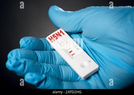 Deutschland - 02. Juli 2024: Test- oder Testkassette in einem Labor mit medizinischen Handschuhen. H5N1 - Influenzavirus für Vogelgrippe wird getestet und bewertet, um festzustellen, ob eine Ansteckung oder Infektion vorliegt. PHOTOMONTAGE *** Test bzw. Testkassette in einem Labor mit medizinischen Handschuhen. H5N1 - Grippevirus zur Vogelgrippe wird getestet und ausgewertet, ob eine Ansteckung bzw. Infektion vorliegt. FOTOMONTAGE Stockfoto