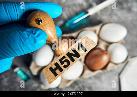 Deutschland - 02 Juli 2024: Stempel mit der Inschrift H5N1 - Vogelgrippe. Vor Eiern eines Vogels in einem medizinischen Labor während eines Tests auf Viren und den Erreger des Influenza-A-Virus. FOTOMONTAGE *** Stempel mit Aufschrift H5N1 - Vogelgrippe. Vor Eiern eines Vogels in einem medizinischen Labor beim Test auf Viren und den Erreger des Influenza-A-Virus. FOTOMONTAGE Stockfoto