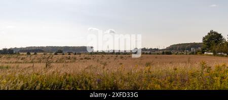 Sonnige ländliche Landschaft - goldenes Feld im Vordergrund - verstreute Wildblumen - entfernte Bäume und Bauernhäuser unter teilweise bewölktem Himmel. Aufgenommen in Toro Stockfoto