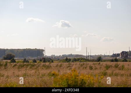 Sonnige ländliche Landschaft - goldenes Feld im Vordergrund - verstreute Wildblumen - entfernte Bäume und Bauernhäuser unter teilweise bewölktem Himmel. Aufgenommen in Toro Stockfoto