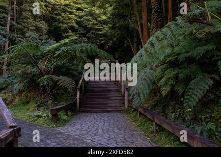 Centro de Interpretacao Ambiental da Caldeira Velha. Die berühmtesten heißen Quellen in Sao Miguel. Ribeira Grande, Azoren. Stockfoto