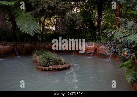 Heiße Quellen, Thermalbecken im Park Terra Nostra Garden. Furnas. Sao Miguel, Azoren Stockfoto