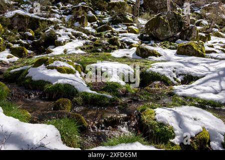 Winterlandschaft mit dem schmelzenden Eis im Frühling und Felsen bedeckt mit grünem Moos Stockfoto