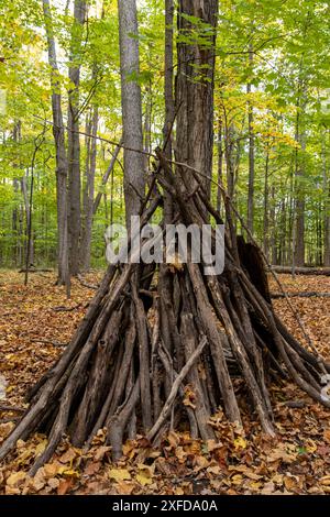 Handgefertigter Waldunterstand mit Stäben - eingebettet zwischen Bäumen - herbstliche Waldlandschaft - Teppichboden mit gefallenen Blättern. Aufgenommen in Toronto, CAN Stockfoto