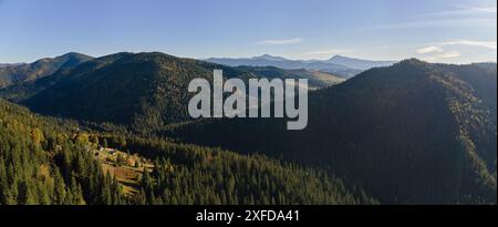 Luftaufnahme von hohen Hügeln mit dunklen Kiefernwäldern am hellen Herbsttag. Erstaunliche Landschaft von wilden Bergwäldern Stockfoto