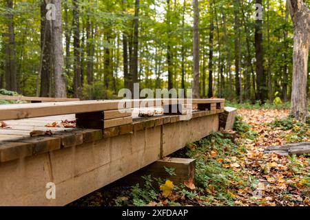 Hölzerne Promenade Brücke - Herbstwald - niedriger Blick - gefallene Blätter - lebhafte Herbstfarben - Naturlehrpfad. Aufgenommen in Toronto, Kanada. Stockfoto