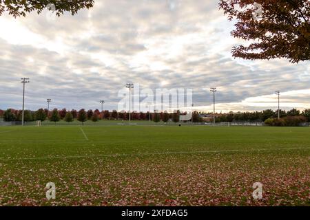 Leuchtende Herbstblätter verstreut über das Fußballfeld - bewölkter Himmel in der Abenddämmerung - Bäume in Herbstfarben säumen den Horizont. Aufgenommen in Toronto, Kanada. Stockfoto