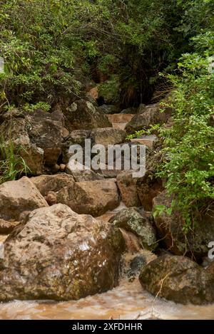 Gebirgsbach, Wasser fließt zwischen den Felsen eines kleinen Baches in der Gegend von Barichara, Santander, Kolumbien. Stockfoto