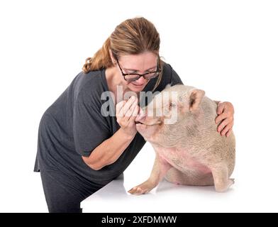 Rosafarbenes Miniaturschwein vor weißem Hintergrund Stockfoto