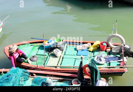 Fischerboote in Mui wo, Lantau Island, Hong Kong. Stockfoto