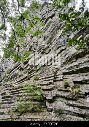 Nahaufnahme der Säulen eines horizontalen Säulenbasalt im Böhmischen Massiv in Tschechien Stockfoto