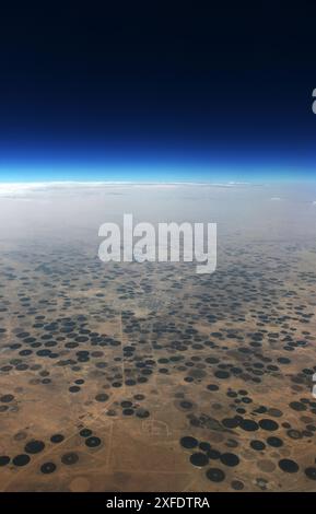 Luftaufnahme von kreisförmigen Agrarfeldern in der arabischen Wüste in Saudi-Arabien. Stockfoto