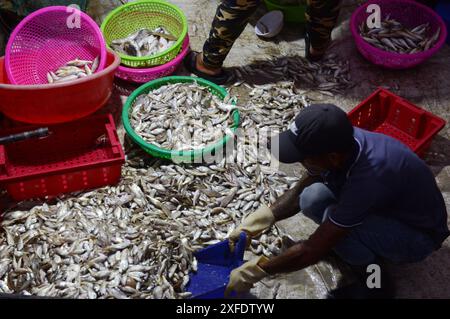 Fischmarkt am frühen Morgen in Bàn Thạch, Hoi an, Vietnam. Stockfoto