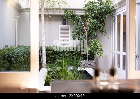 Blick auf den ruhigen Innengarten mit üppigem Grün und Topfpflanzen in einem modernen Haus, Kopierraum Stockfoto