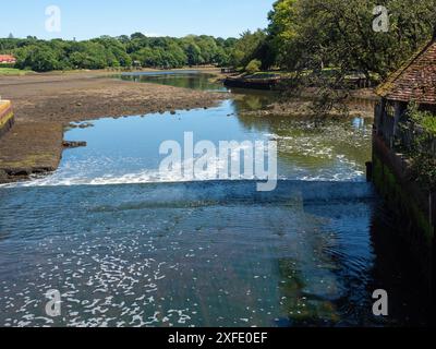 Mühlenrennen auf dem Beaulieu River, Beaulieu, New Forest National Park, Hampshire, England, Großbritannien, Juli 2020 Stockfoto