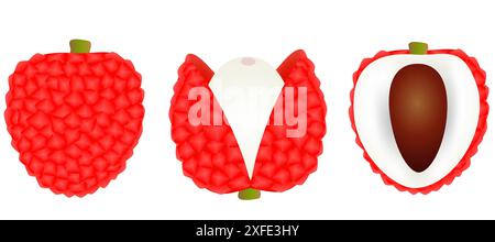 Frischer Litschi die Haut wird ganz geschnitten, in zwei Hälften geschnitten, mit Knochen isoliert auf weißem Hintergrund. Stock Vektor