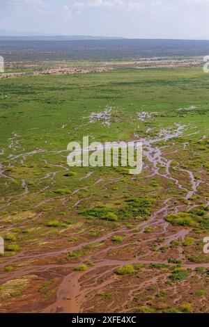 Kenia, Teil des Grabens zwischen Lake Magadi und Lake Natron, Strauchsavanne Landschaft (aus der Vogelperspektive) Stockfoto