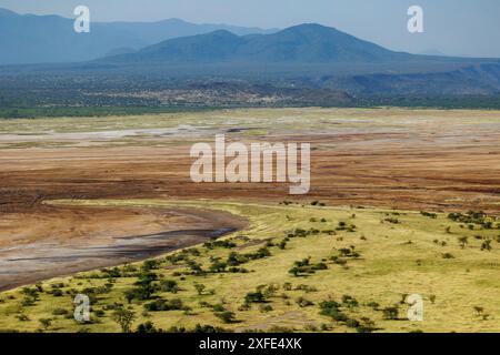 Kenia, Teil des Grabens zwischen Lake Magadi und Lake Natron, Strauchsavanne Landschaft (aus der Vogelperspektive) Stockfoto