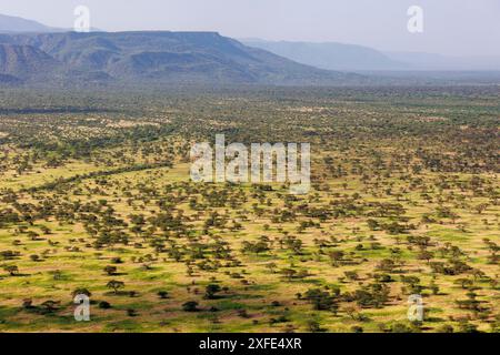 Kenia, Teil des Grabens zwischen Lake Magadi und Lake Natron, Strauchsavanne Landschaft (aus der Vogelperspektive) Stockfoto