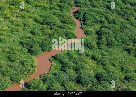 Kenia, Teil des Grabenbruchs zwischen dem Lago Magadi und dem Lake Natron, Fluss mit Strauchsavannenlandschaft (aus der Vogelperspektive) Stockfoto