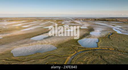 Frankreich, Somme, Baie de Somme, Le Crotoy, Les mollières in der Nähe von Le Crotoy im Morgennebel (Luftaufnahme) (Luftaufnahme) Stockfoto