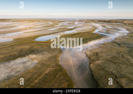 Frankreich, Somme, Baie de Somme, Le Crotoy, Les mollières in der Nähe von Le Crotoy im Morgennebel (Luftaufnahme) (Luftaufnahme) Stockfoto