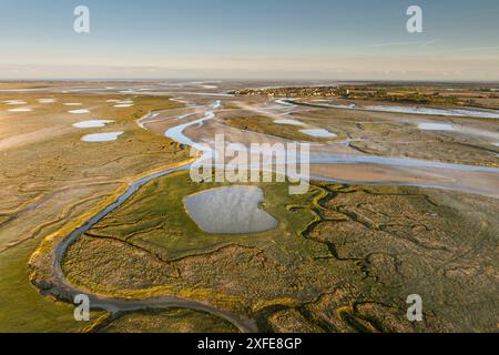 Frankreich, Somme, Baie de Somme, Le Crotoy, Les mollières in der Nähe von Le Crotoy im Morgennebel (Luftaufnahme) (Luftaufnahme) Stockfoto