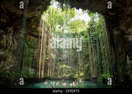 Mexiko, Yucatan-Zustand, Ik Kil Eco-archäologischer Park, Ik Kil Cenote oder blaue Cenote Stockfoto