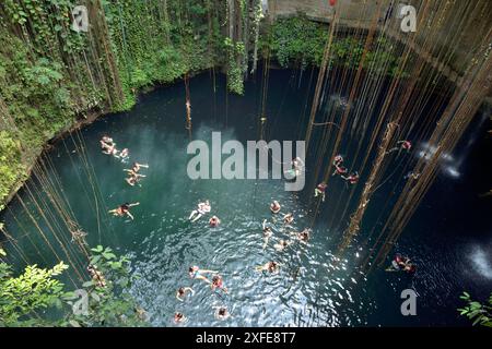 Mexiko, Yucatan-Zustand, Ik Kil Eco-archäologischer Park, Ik Kil Cenote oder blaue Cenote Stockfoto