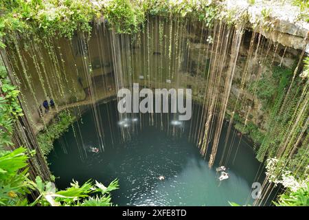 Mexiko, Yucatan-Zustand, Ik Kil Eco-archäologischer Park, Ik Kil Cenote oder blaue Cenote Stockfoto