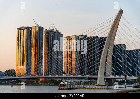 BA Son Bridge im Stadtzentrum von Ho Chi Minh, Vietnam Stockfoto