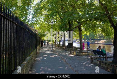 Schattiger Fußweg entlang des Flusses Ouse im Zentrum von York Stockfoto
