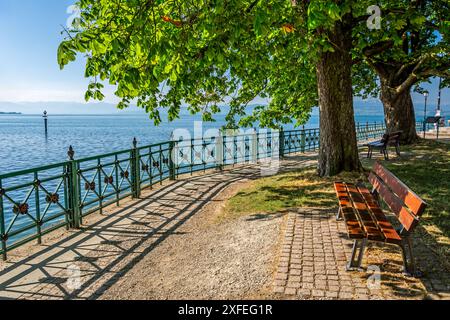 Bank an idyllischer Promenade in Friedrichshafen am Bodensee in Süddeutschland Stockfoto